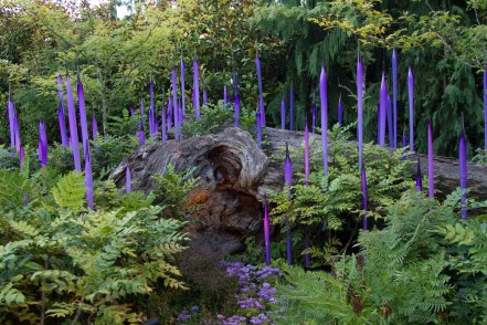 Purpleglass 0317.jpg