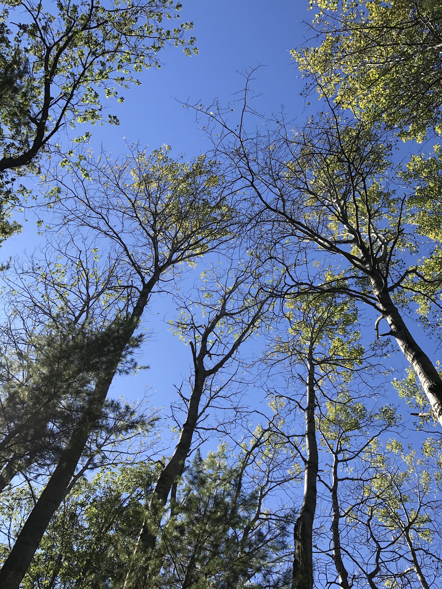 3B81BCC2-02D0-4F23-82FF-710ABE6673BE