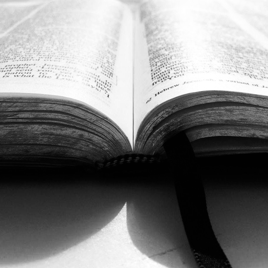 E8A852BF-413D-466A-B0BA-B0882528F803