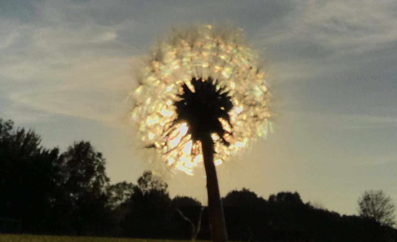 ~Ineffable Ink~ Putting Life Into Words